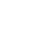 Alternate Text